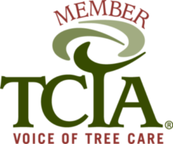TCIA_Membership_Logo